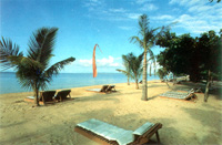 Raddin Hotel Sanur  - Beach