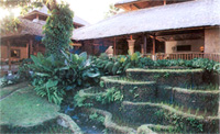 Raddin Hotel Sanur  - Garden